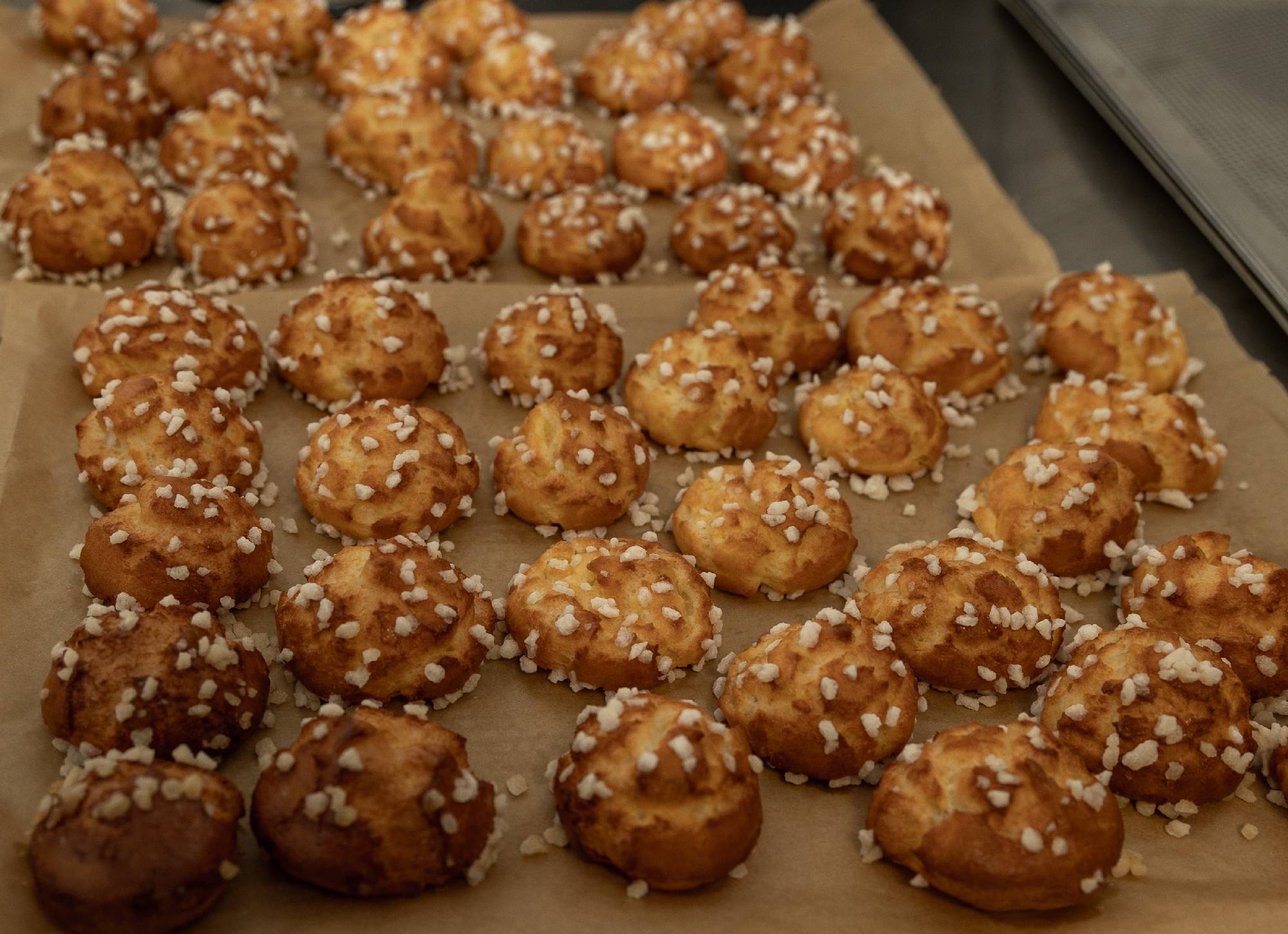 Mes premiers choux
